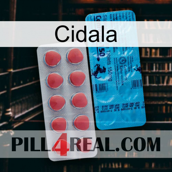 Cidala new14.jpg